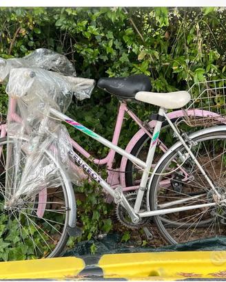 Due biciclette