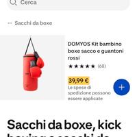 Sacchi da boxe

