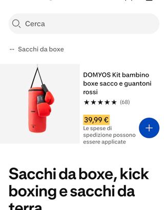 Sacchi da boxe

