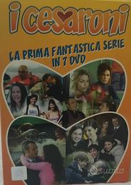 DVD stagioni complete 