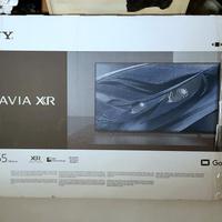 smart TV Sony Bravia 55 schermo rotto