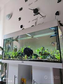 Acquario Juwel Rio 180