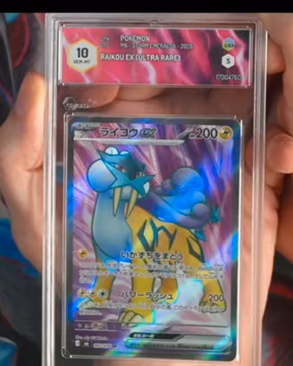 Raikou ex (m6 092) GRAAD 10