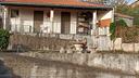 toeletta-pensione-ed-associazione-per-cani