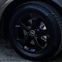 Ruote e cerchioni invernali q3