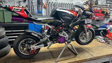 Minimoto DM 2025