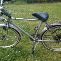 Biciclette da passeggio