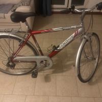 Bici MAINO sportiva – Cambio Shimano 6 marce