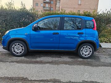 FIAT Panda IBRIDO/BENZINA