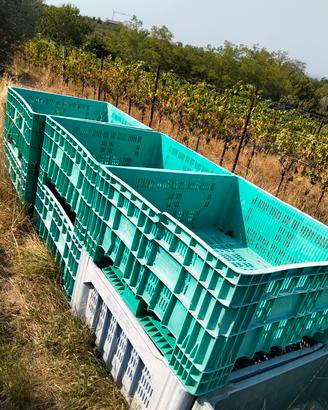 Bins per olive