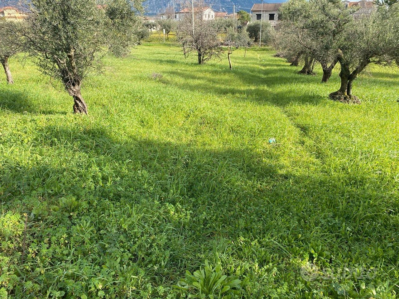 Terreno edificabile di circa 10.000 m² - Vista 4