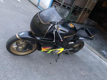 Honda CBR 600 uso pista