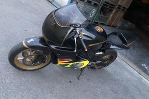 Honda CBR 600 uso pista