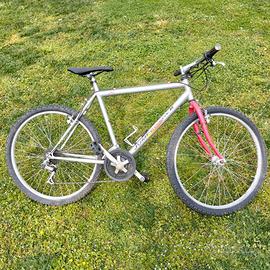Bicicletta da città
