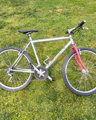 Bicicletta da città