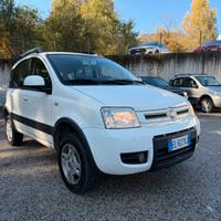 Fiat Panda 1.3 MJT 16V DPF 4x4 Climbing