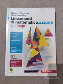 Lineamenti di matematica. Azzurro 1
