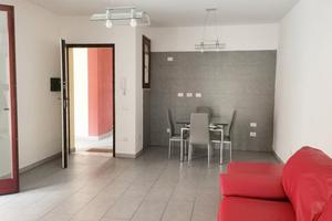 Bilocale al piano terra con cantina