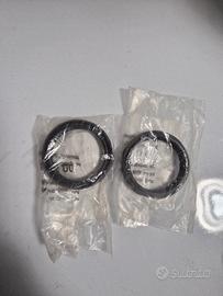 paraoli forcella bmw s1000xr