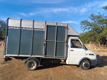 Camioncino trasporto cavalli Patente B