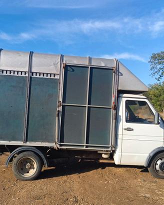 Camioncino trasporto cavalli Patente B