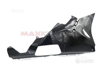 Vasca carene carbonio BMW S1000RR post-2015