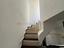 Immagine 19