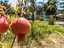 Immagine 29