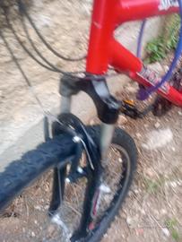 Mountain bike