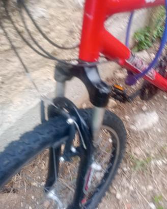 Mountain bike