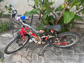 Bicicletta 20 pollici