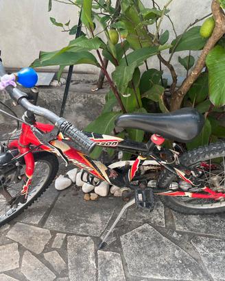 Bicicletta 20 pollici