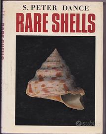 Rare Shells