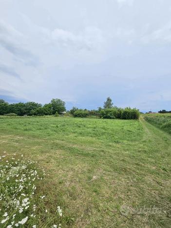 Terreno Agricolo Verona [Cod. rif 3169779VRG]