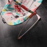 Sdraietta per Neonati - Vivace e Divertente