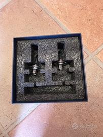 coppia lampadine auto H7