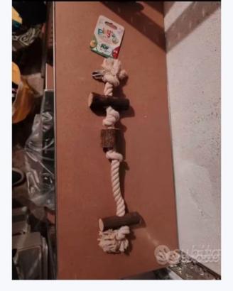 Giochi pappagalli