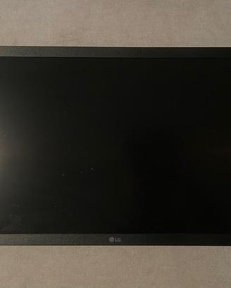 Monitor LG