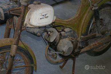 guzzi dingo mm 