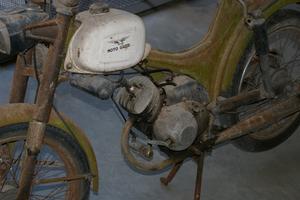 guzzi dingo mm 