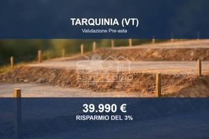 Immobile in asta di 39049 m² a Tarquinia