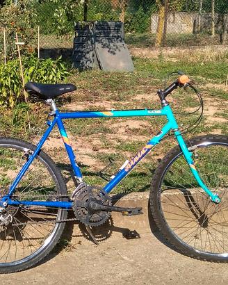 Bicicletta