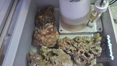 Rocce vive freschissime appena arrivate