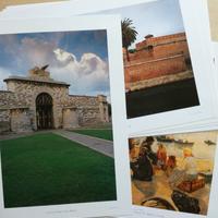 Libro e stampe su Livorno