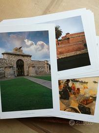 Libro e stampe su Livorno