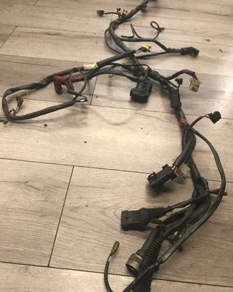 impianto elettrico ducati monster 600