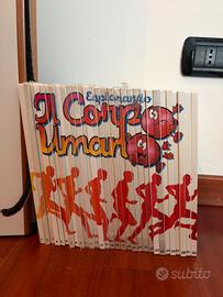 Esplorando il corpo umano