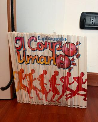 Esplorando il corpo umano