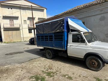 Fiat 616 trasporto animali vivi. Anno 1974