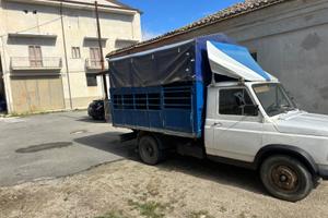 Fiat 616 trasporto animali vivi. Anno 1974